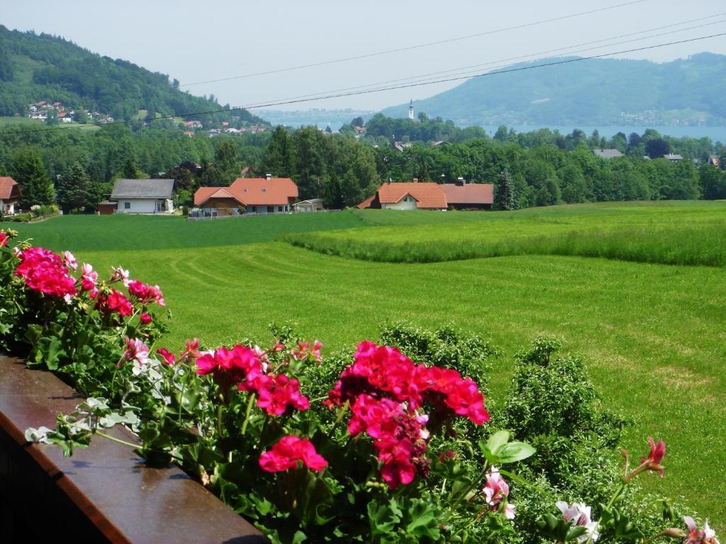 Ferienwohnung Seiringer Attersee Pokoj fotografie